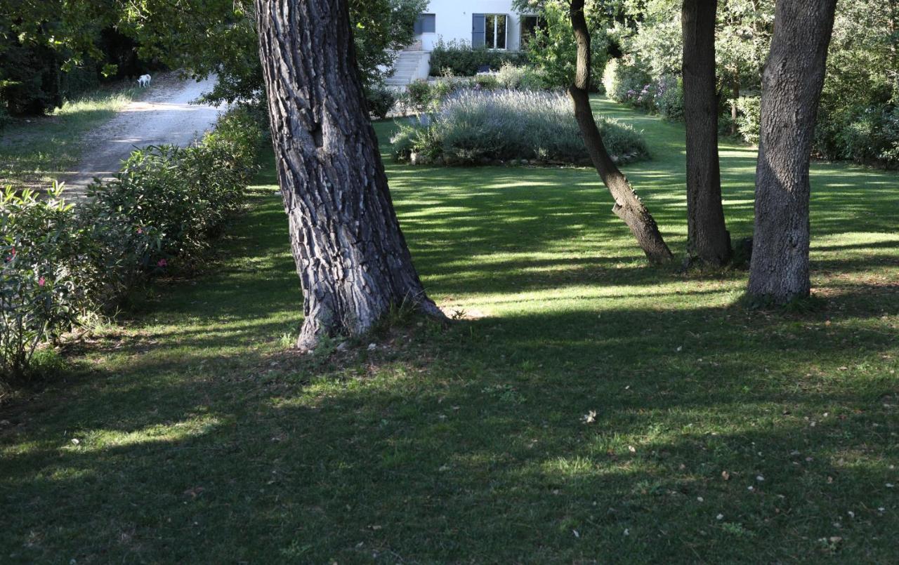 Maison Calme Et Verdure Saint-Cannat Extérieur photo